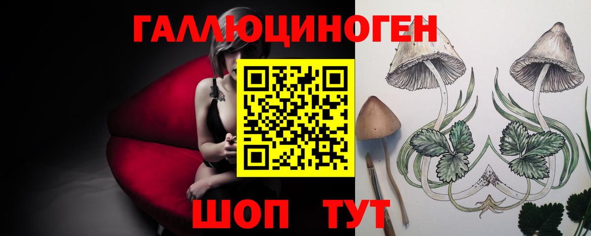 Псилоцибиновые грибы MAGIC MUSHROOMS  Галлюциногенные грибы Cubensis  Вход с VPN  Хасавюрт 